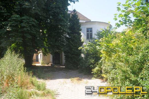 Pałacyk w centrum miasta zaczyna straszyć