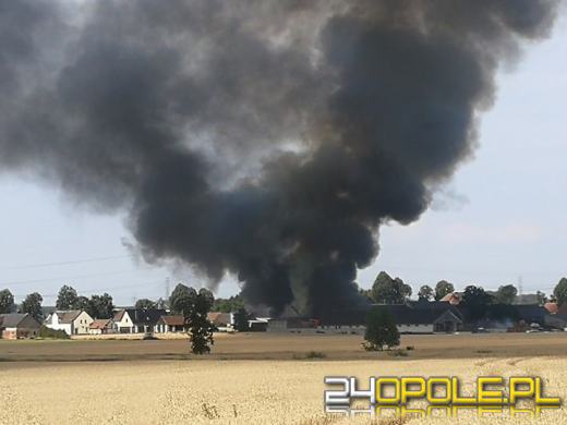20 krów spłonęło podczas pożaru stodoły w Chróścinie