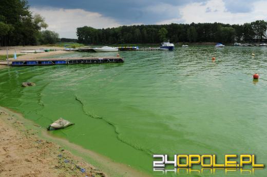 Dwa jeziora, skrajne jakości wody. Dlaczego duże jezioro w Turawie umiera?