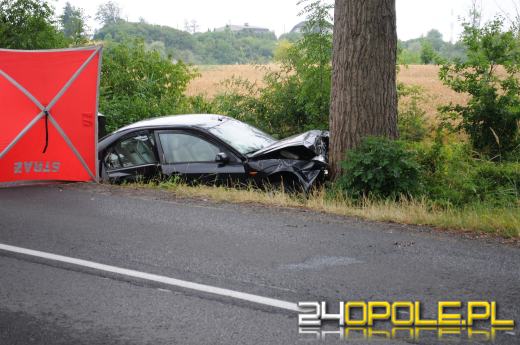 Śmiertelny wypadek na trasie Krzanowice - Czarnowąsy. Nie żyje kobieta