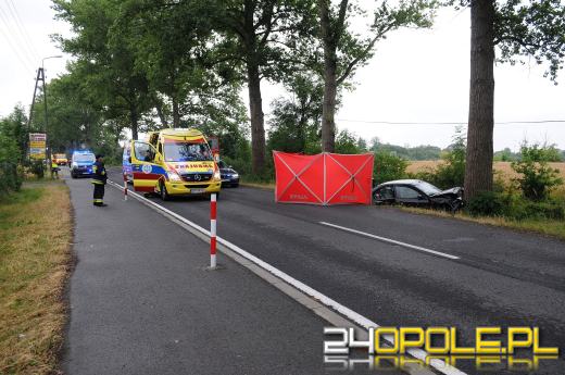 Śmiertelny wypadek na trasie Krzanowice - Czarnowąsy. Nie żyje kobieta