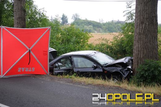 Śmiertelny wypadek na trasie Krzanowice - Czarnowąsy. Nie żyje kobieta