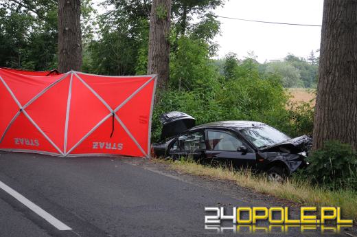 Śmiertelny wypadek na trasie Krzanowice - Czarnowąsy. Nie żyje kobieta