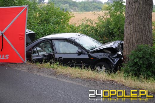 Śmiertelny wypadek na trasie Krzanowice - Czarnowąsy. Nie żyje kobieta