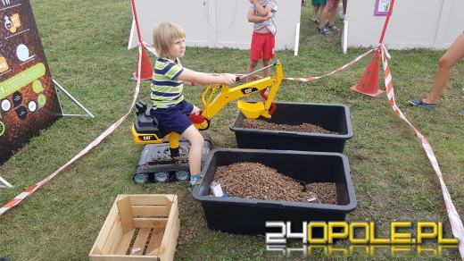 Trwa Piknik Ekologiczny "Opole w rytmie natury"