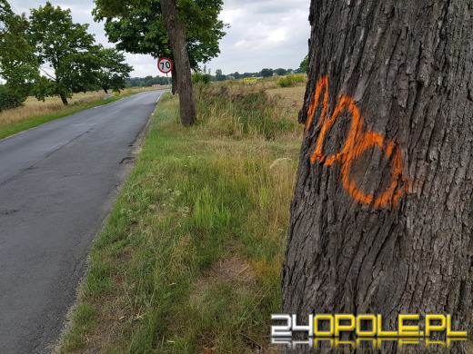 Budowa ścieżki rowerowej Opole-Turawa pochłonie miliony złotych i setki drzew