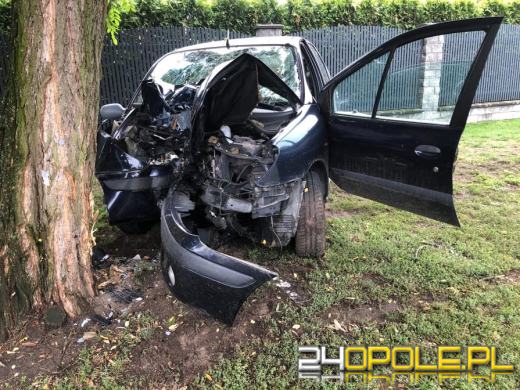 Renault Scenic wjechał w drzewo na ulicy Wilsona. Kierujący nietrzeźwy