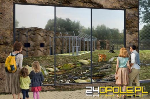 Rozpoczęła się budowa wybiegu dla lwów i tygrysów w opolskim zoo