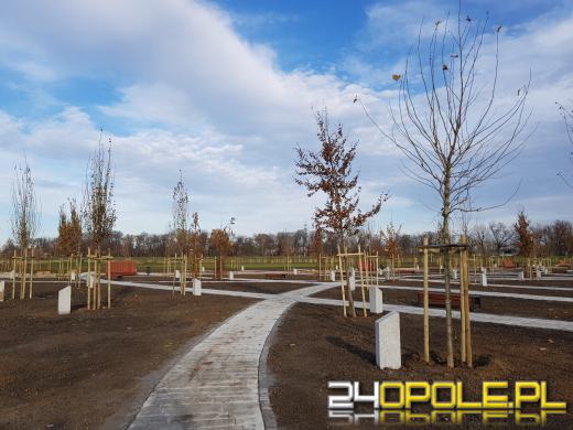 Park 800-lecia już niemal gotowy, ale oficjalne otwarcie dopiero wiosną