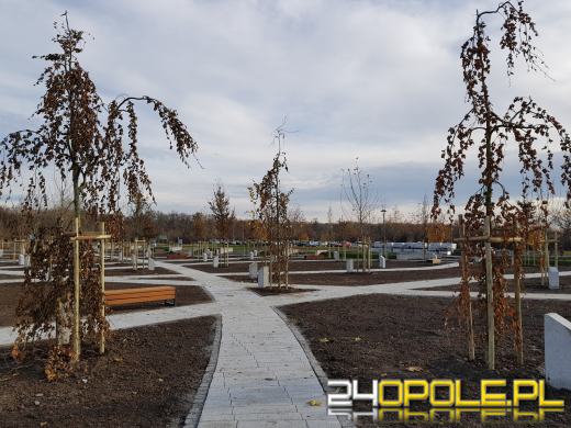 Park 800-lecia już niemal gotowy, ale oficjalne otwarcie dopiero wiosną