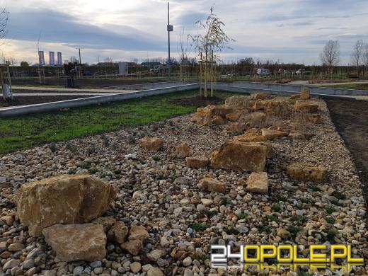 Park 800-lecia już niemal gotowy, ale oficjalne otwarcie dopiero wiosną