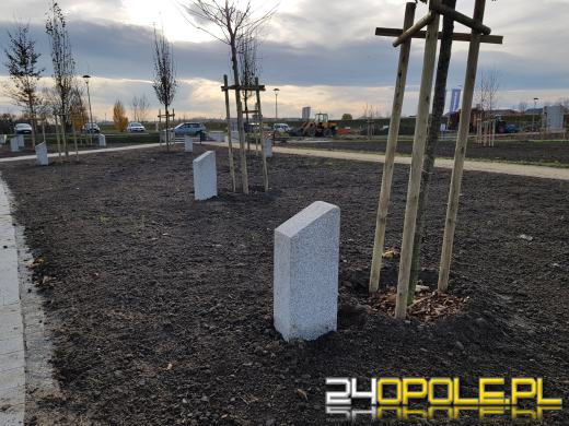 Park 800-lecia już niemal gotowy, ale oficjalne otwarcie dopiero wiosną