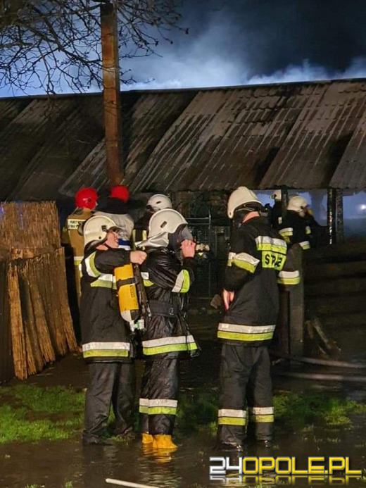 Płonęła altanka przy stadninie koni. Akcja w Dębskiej Kuźni 
