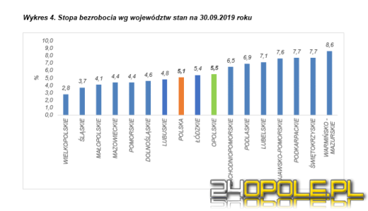 Bezrobocie najniższe od 29 lat. Jak jest na Opolszczyźnie?