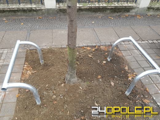 Metalowe barierki przy drzewach na Pasiece. Zdania mieszkańców są podzielone
