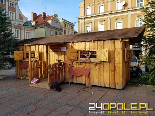 Trwają przygotowania do Jarmarku Bożonarodzeniowego
