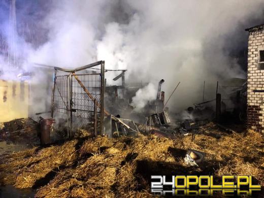 W pożarze w Przeczy spłonęły kury, króliki i pies