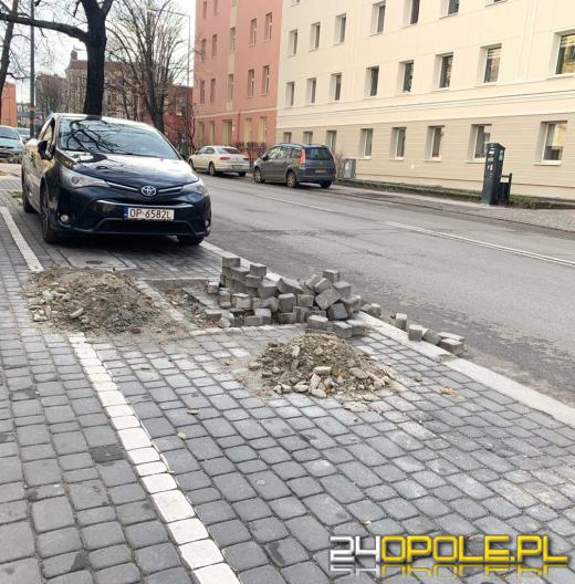 Miejski Zarząd Dróg sadzi na potęgę. W całym mieście zostanie posadzonych 3700 drzew