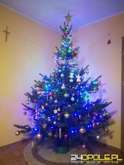 Prawdziwy popis kreatywności. Czytelnicy pokazali swoje choinki