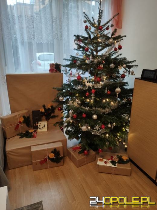 Prawdziwy popis kreatywności. Czytelnicy pokazali swoje choinki