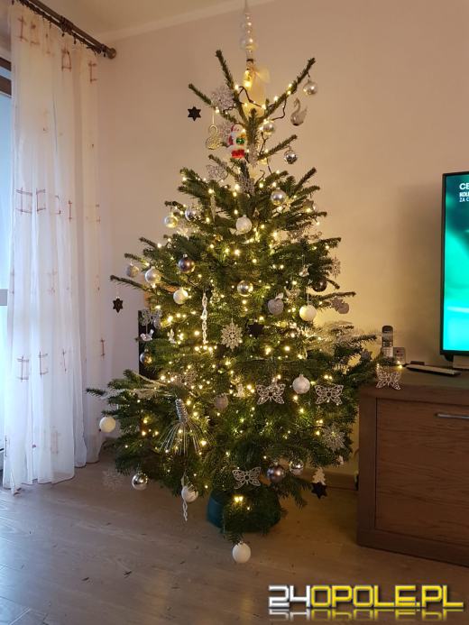 Prawdziwy popis kreatywności. Czytelnicy pokazali swoje choinki