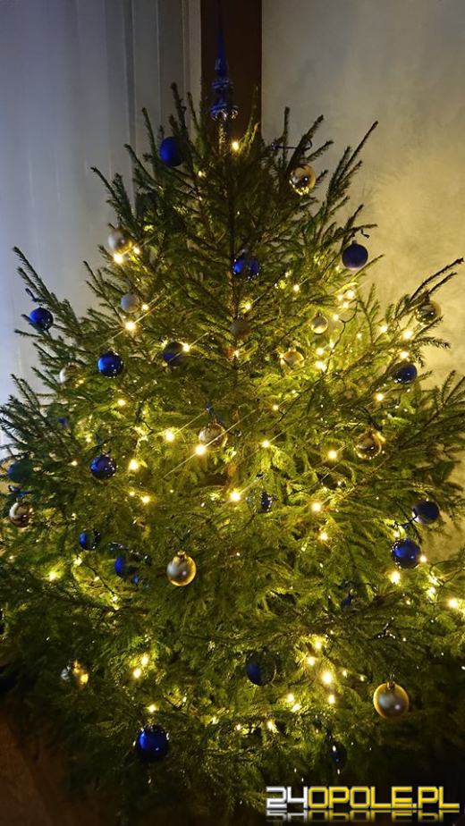 Prawdziwy popis kreatywności. Czytelnicy pokazali swoje choinki