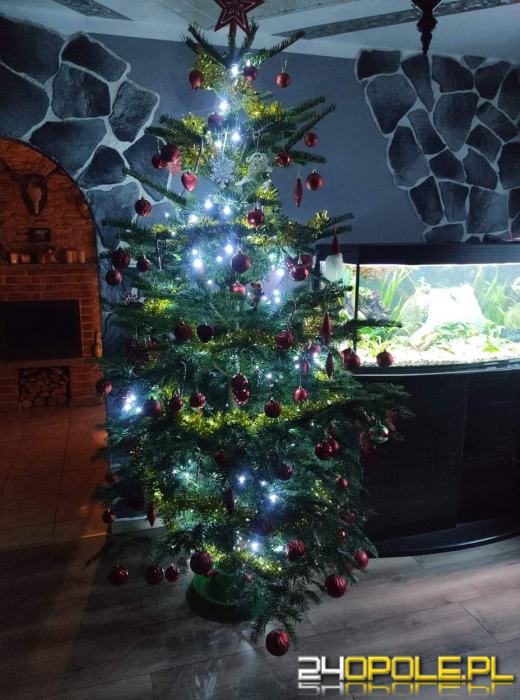 Prawdziwy popis kreatywności. Czytelnicy pokazali swoje choinki
