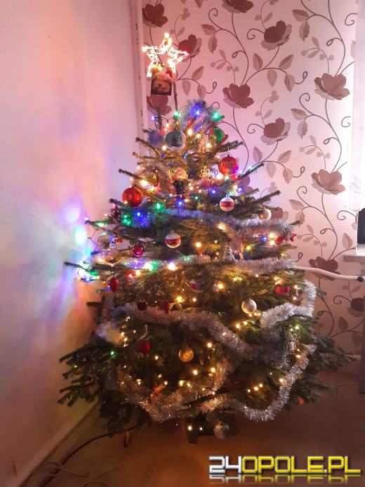 Prawdziwy popis kreatywności. Czytelnicy pokazali swoje choinki
