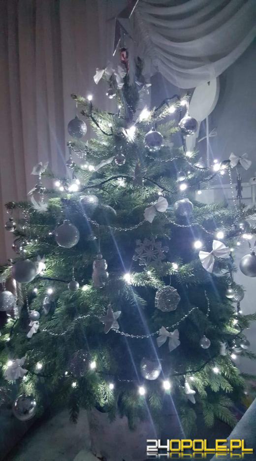 Prawdziwy popis kreatywności. Czytelnicy pokazali swoje choinki