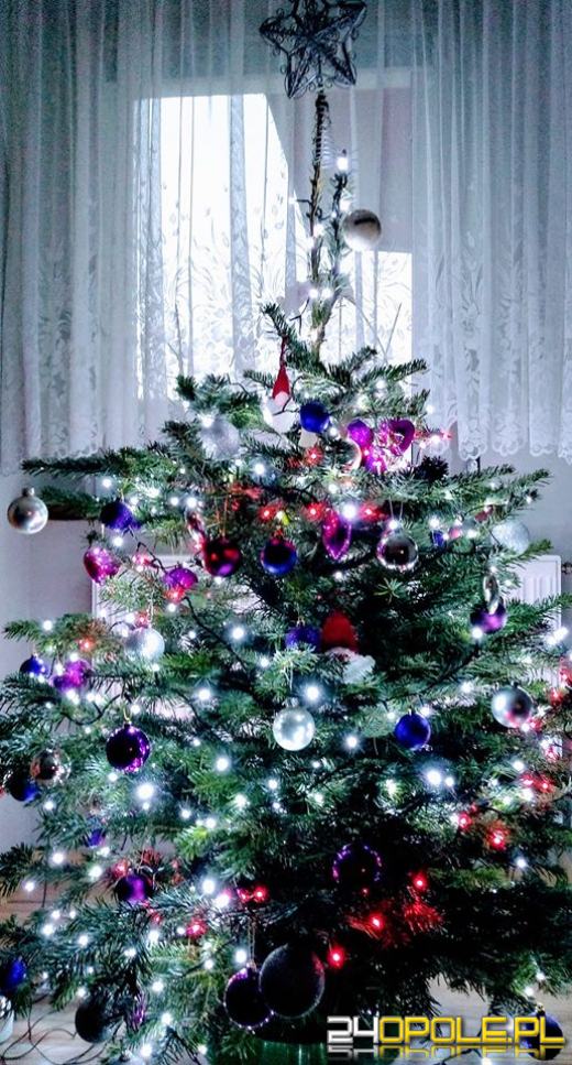 Prawdziwy popis kreatywności. Czytelnicy pokazali swoje choinki