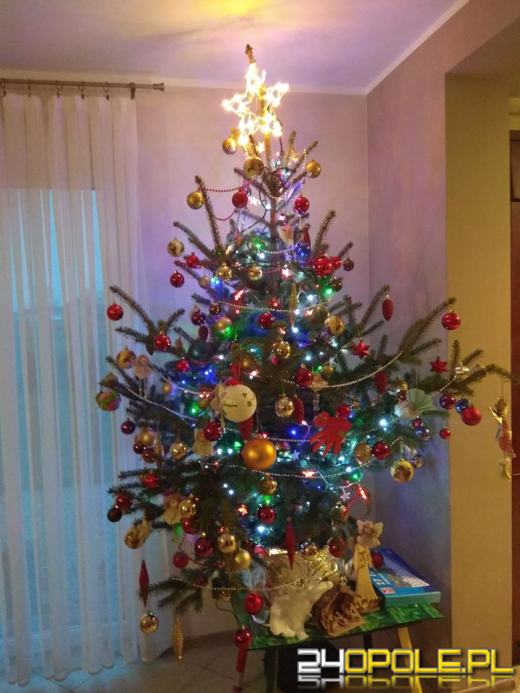 Prawdziwy popis kreatywności. Czytelnicy pokazali swoje choinki