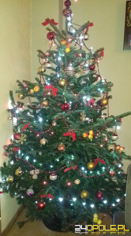 Prawdziwy popis kreatywności. Czytelnicy pokazali swoje choinki