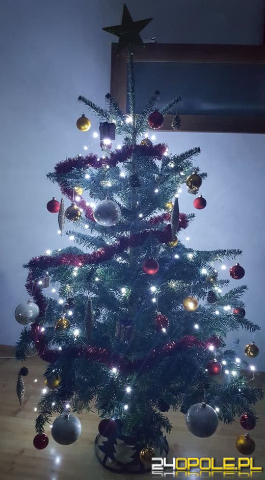 Prawdziwy popis kreatywności. Czytelnicy pokazali swoje choinki