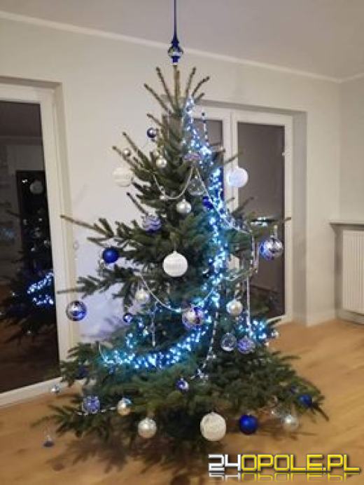 Prawdziwy popis kreatywności. Czytelnicy pokazali swoje choinki