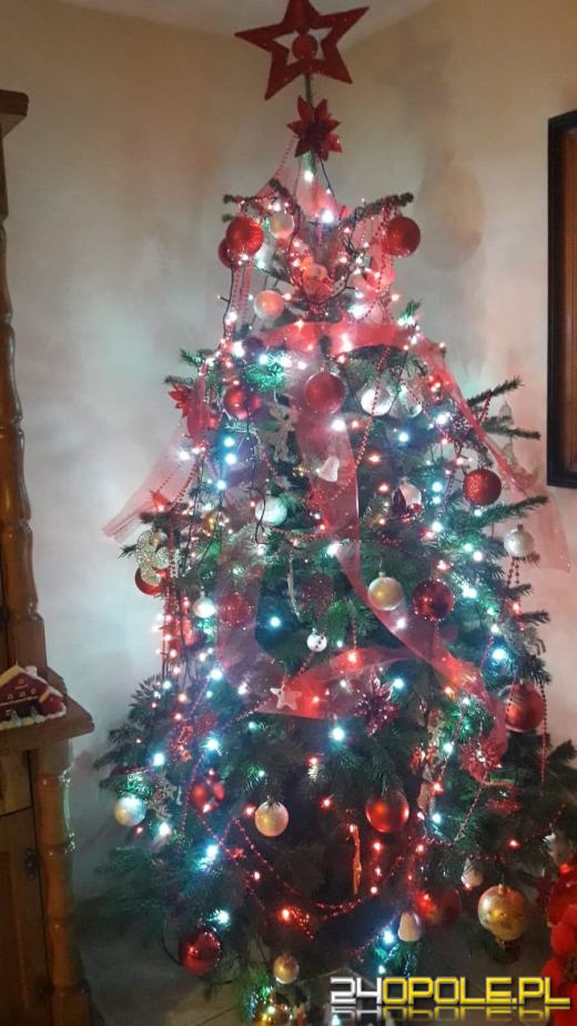 Prawdziwy popis kreatywności. Czytelnicy pokazali swoje choinki