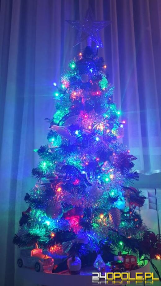 Prawdziwy popis kreatywności. Czytelnicy pokazali swoje choinki