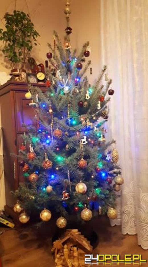 Prawdziwy popis kreatywności. Czytelnicy pokazali swoje choinki