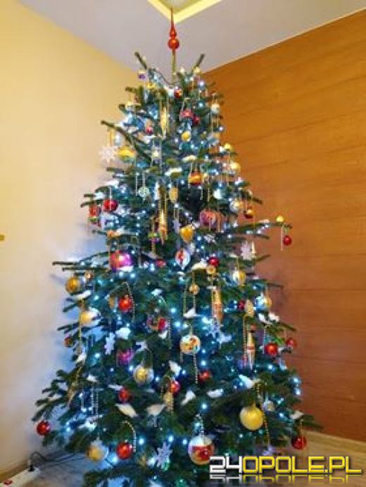 Prawdziwy popis kreatywności. Czytelnicy pokazali swoje choinki