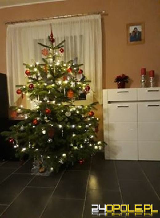 Prawdziwy popis kreatywności. Czytelnicy pokazali swoje choinki