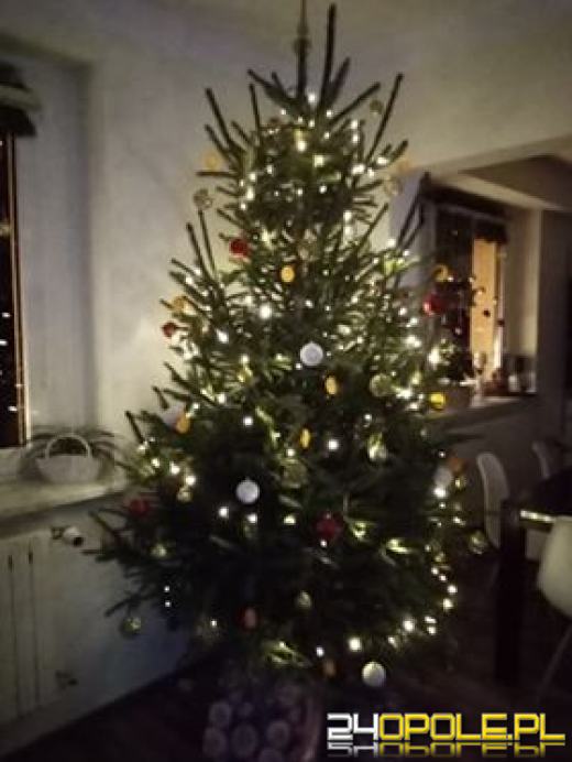 Prawdziwy popis kreatywności. Czytelnicy pokazali swoje choinki