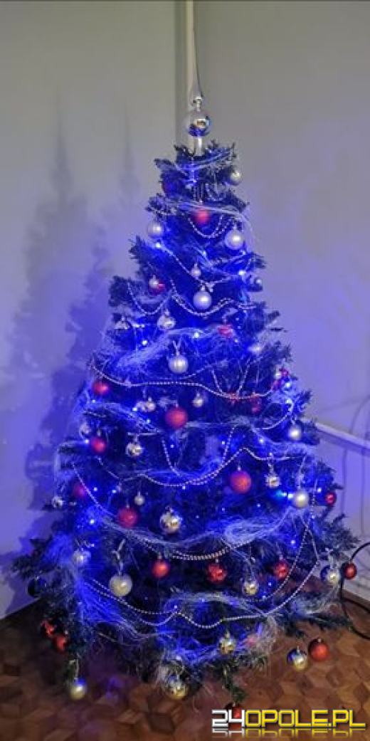 Prawdziwy popis kreatywności. Czytelnicy pokazali swoje choinki