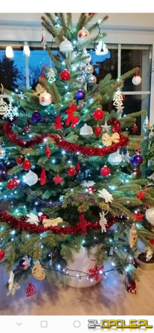 Prawdziwy popis kreatywności. Czytelnicy pokazali swoje choinki