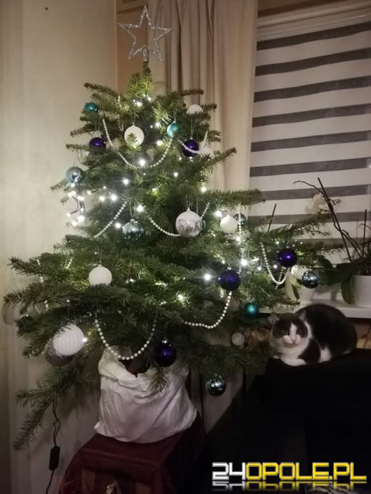 Prawdziwy popis kreatywności. Czytelnicy pokazali swoje choinki