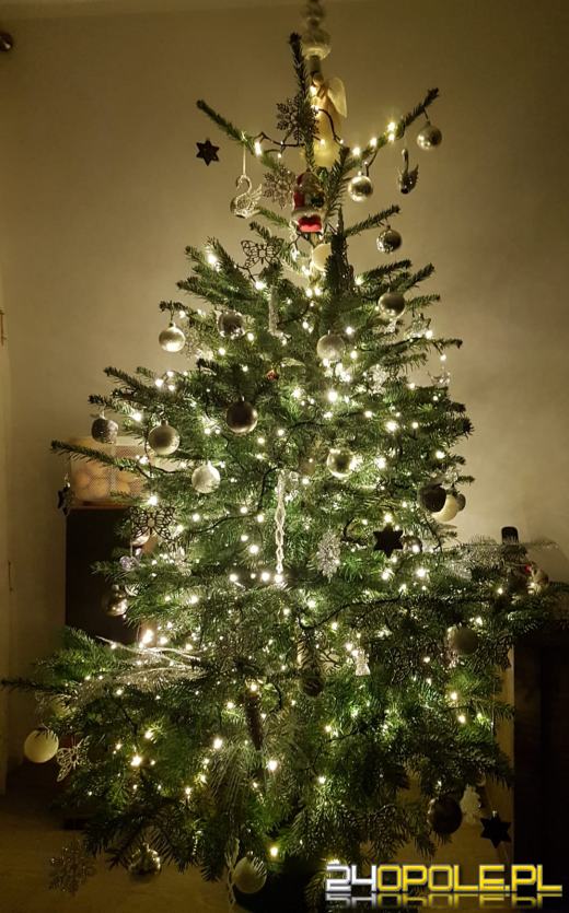 Prawdziwy popis kreatywności. Czytelnicy pokazali swoje choinki