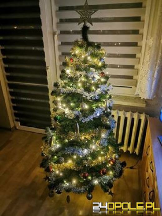 Prawdziwy popis kreatywności. Czytelnicy pokazali swoje choinki