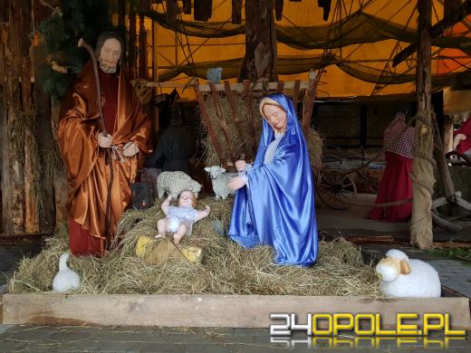 Można już odwiedzać Szopkę Bożonarodzeniową w Opolu-Szczepanowicach