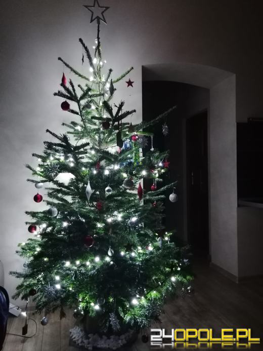 Prawdziwy popis kreatywności. Czytelnicy pokazali swoje choinki