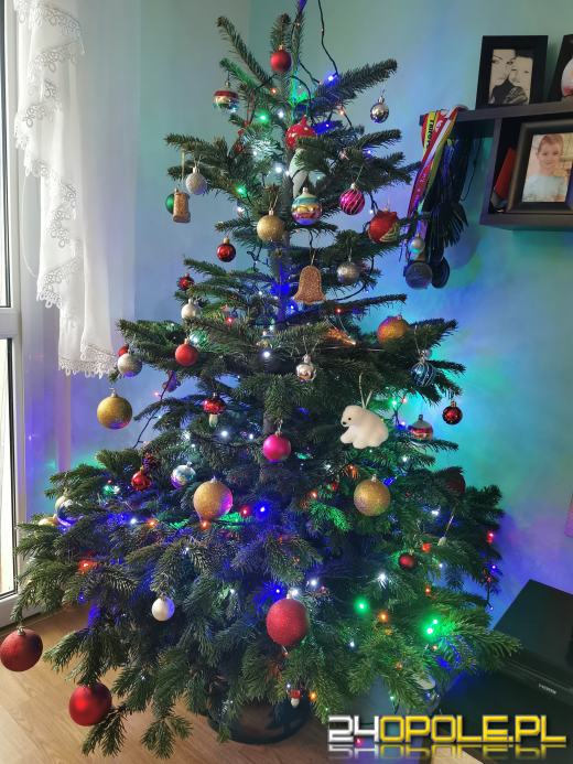 Prawdziwy popis kreatywności. Czytelnicy pokazali swoje choinki