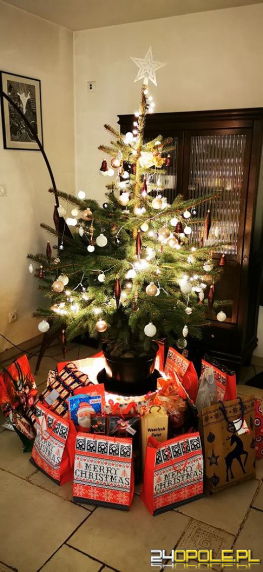 Prawdziwy popis kreatywności. Czytelnicy pokazali swoje choinki