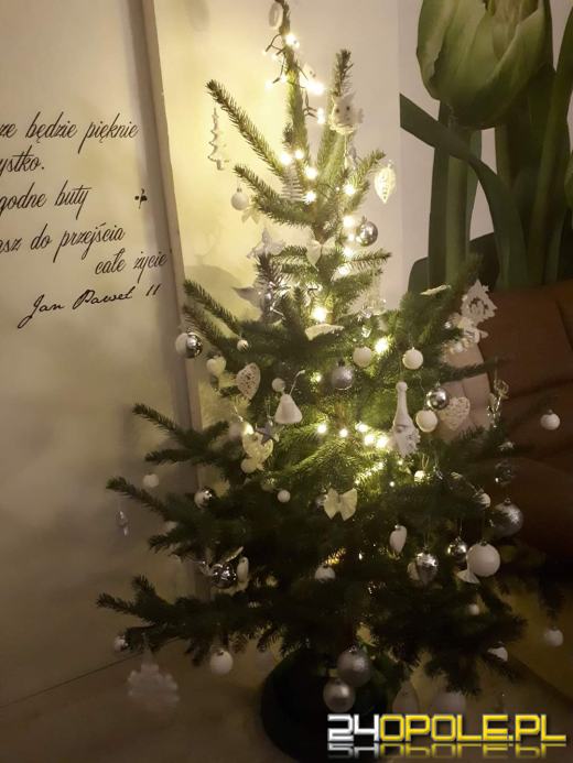 Prawdziwy popis kreatywności. Czytelnicy pokazali swoje choinki